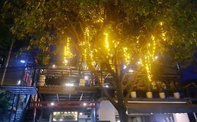 Codohomestay Garden
